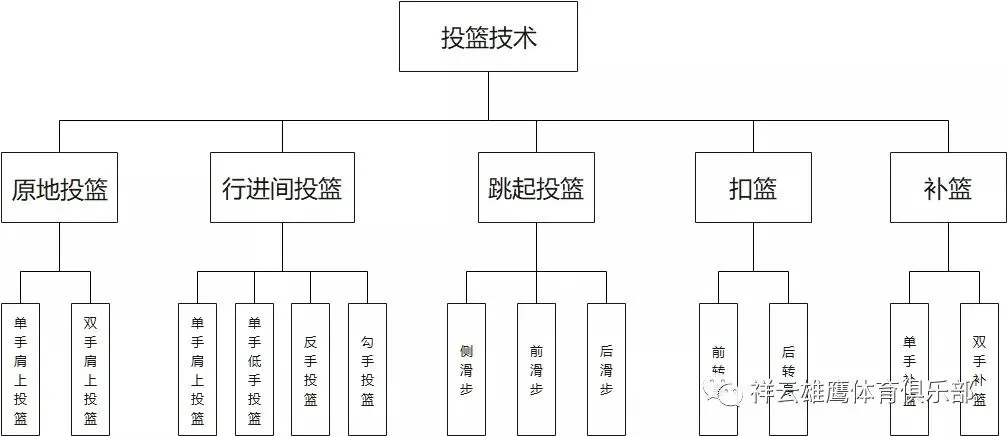 如何在比赛中发现和发展球员潜力_1